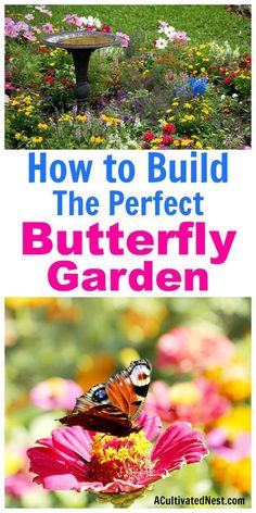 the cover of how to build the perfect butterfly garden, with pictures of flowers and butterflies