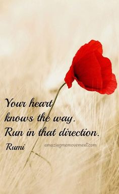 a red flower in the middle of a field with a quote on it that says, your heart knows the way run in that direction