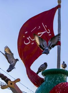 several birds are flying around a fountain with a flag in the background and two pigeons on top