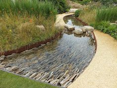 a small pond in the middle of a garden with rocks and grass around it, surrounded by tall grasses