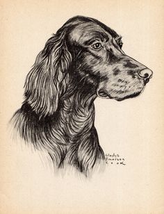 a black and white drawing of a dog