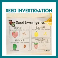 seed infestation is an easy and fun way to learn how to grow seeds