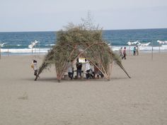 several people standing around a structure made out of sticks and branches on the beach with seagulls in the background