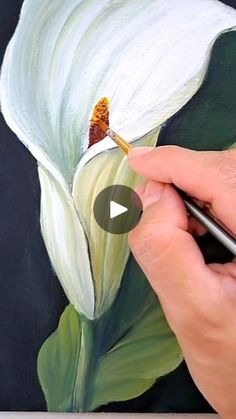 someone is painting a white flower on a black background