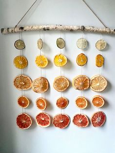 oranges and lemon slices hanging from a branch on a white wall with wood pegs