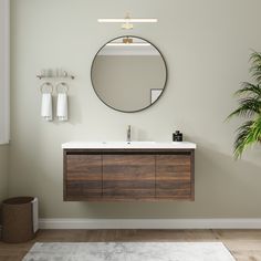 a bathroom with a sink, mirror and potted plant