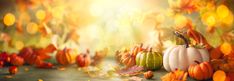 colorful fall leaves and pumpkins on the ground with sunlight coming in from behind them