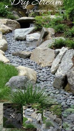 some very pretty rocks and plants in a garden with the words dry stream on it