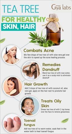 Tea Tree Essential Oil is a wonder oil for acne treat &amp; it has many benefits for haircare, bodycare too. Tea tree oil has antiseptic, cleansing and clarifying qualities. Read on to find out the hidden benefits of this powerful oil. Tea Tree Essential Oil Benefits, Best Tea Tree Oil, Tea Tree Oil Hair, Tea Tree Oil Uses, Tea Tree Oil For Acne, Oil For Skin, Acne Oil