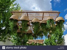 hanging baskets with plants on them in front of a blue sky and white clouds - stock image