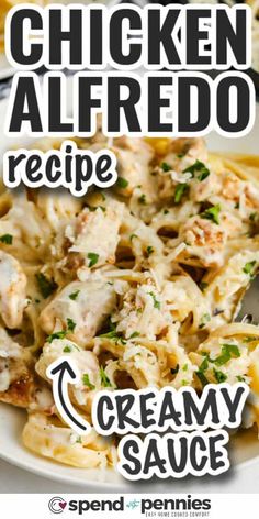 chicken alfredo recipe with creamy sauce on the side and text overlay that says chicken alfredo