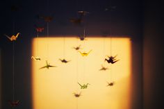 a group of origami birds hanging from strings in front of a window at night