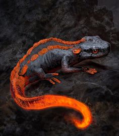 an orange and black gecko sitting on top of a rocky hill next to a fire