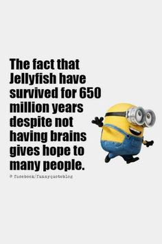 Funny Quotes For School, Minion Quotes Hilarious, Funny Quotes For Friends Jokes, Hysterically Funny Quotes Humor, Funny Clean Memes Hilarious, Minion Jokes Hilarious So True, Funny Minion Jokes