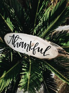 a wooden sign that says thank hanging from a palm tree with the word thanks written on it