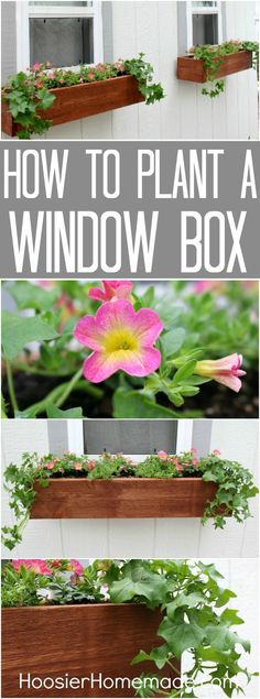 how to plant a window box with flowers and plants in it, so you don't have to