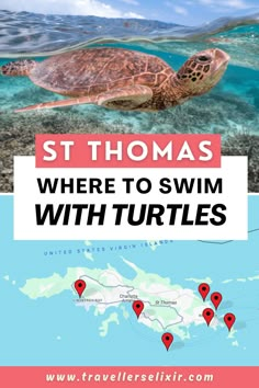 st thomas where to swim with turtles