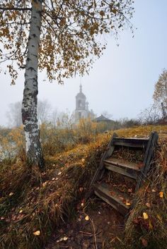 an old wooden staircase next to a tree on a hill in the foggy day