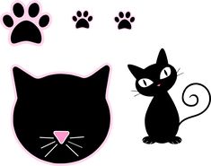 a black cat and paw prints on a white background