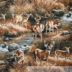 a group of deer standing next to a river