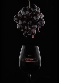 #vinoyfotografía #winelover #amantedelvino #Weinliebhaber #megustaelvino #wine #wein #vino #vin #vi #vinho #ardoa Glass Photography, Wine Photography, Wine Design, Foto Tips, Wine Art, Wine Time, Foto Art, Advertising Photography, Fine Wine