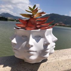 a white vase with plants in it sitting on the edge of a wall next to water