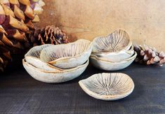 four white bowls sitting on top of a table next to pine cones