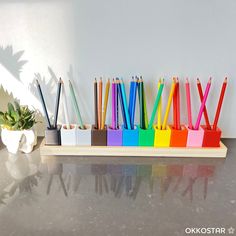 several pencils are lined up in different colors on a tray next to a potted plant