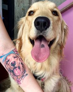 a dog with a tattoo on its arm next to a woman's arm and hand