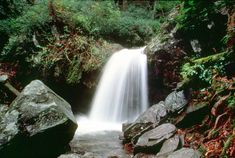 a small waterfall in the middle of a forest