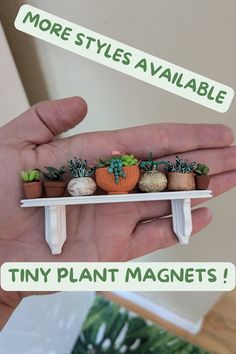 there is a tiny plant magnet in the palm of someone's hand that says, more styles available tiny plant magnets