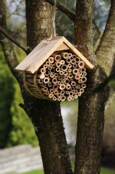 a birdhouse hanging from a tree in the park with lots of holes on it