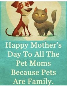 a dog and cat sitting next to each other with the words happy mother's day to all the pet moms because pets are family