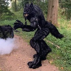 Werewolf Cosplay, Ware Wolf Costume, Maned Wolf Fursuit, Realistic Wolf Fursuit, Skulldog Fursuit, Medieval Outfits, Werewolf Costume, Fur Suits, Awesome Costumes