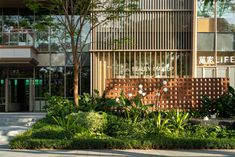 a wooden bench sitting in front of a tall building with lots of plants growing out of it