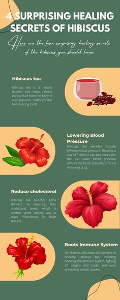 4 Surprising Healing Secrets of Hibiscus Hibiscus Herbal Tea Recipe, Raspberry Hibiscus Tea Benefits, Hibiscus Herb Benefits, Hibiscus Spiritual Benefits, Diy Hibiscus Tea, Hibiscus Water Benefits, Hibiscus Tea Drink Recipes, Cranberry Hibiscus Plant, Hibiscus Benefits Health