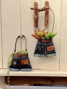 two pots with succulents are hanging on the wall