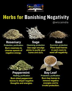 Looking to banish negativity from your space? 🌿✨ Here are some powerful herbs that can help cleanse and protect your environment! Herbs For Banishing, Baneful Herbs, Money Oil Recipe, Sage Healing, Protective Herbs, Herbs Magic, Protection Herbs, Aura Cleansing Spray, Banishing Herbs