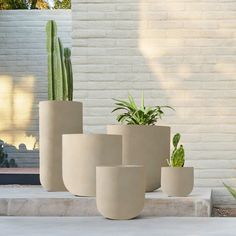 four planters are sitting on the concrete steps