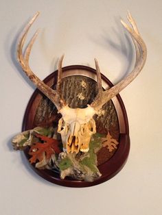 a deer's skull with antlers and leaves on the side of a wall