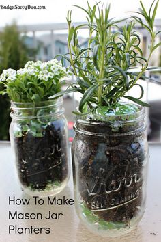 two mason jars filled with plants and dirt