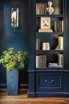 a blue bookcase with books on it and a potted plant