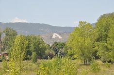 the mountains are in the distance with trees and grass