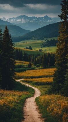 a dirt road in the middle of a field with trees on both sides and mountains in the background