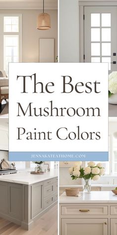 the best mushroom paint colors for kitchen cabinets