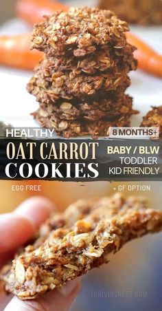 oat carrot cookies Baby Cookie Recipe, Gluten Free Dairy Free Breakfast, Toddler Cookies, Baby Cookie, Carrot Cookies, Healthy Oatmeal Cookies, Dairy Free Snacks