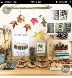 there are many different things on the table in front of this display that includes pine cones, acorns and leaves