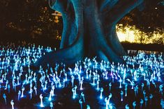 a large group of people standing in front of a tree with blue lights on it