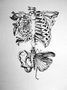 a drawing of a skeleton and flowers