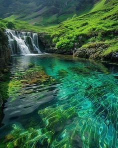 the water is very clear and blue with green algaes on it's bottom